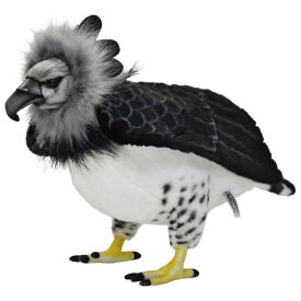 ハンサ【HANSA】リアルぬいぐるみオウギワシ野生的な魅力溢れるパナマの国鳥 鷲