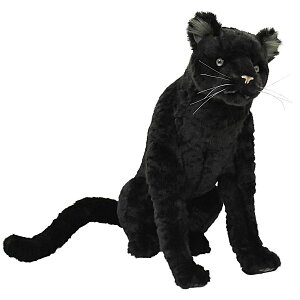 nTyHANSAzAʂ݃NqE oꂨ|[Y