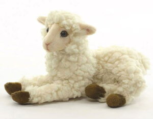 nTyHANSAzAʂ݃VeqcW25cm