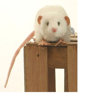 nTyHANSAzAʂ݃VlY~27cm 2܂Ń[։