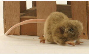 nTyHANSAzAʂݒFlY~27cm 2܂Ń[։