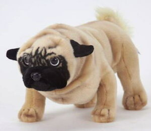 nTyHANSAzAʂ݃pO35cm