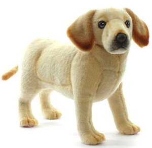 nTyHANSAzAʂ݃uh[go[eCk34cm