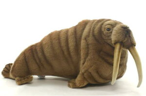 nTyHANSAzAʂ݃ZCE`44cm