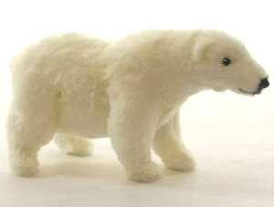 nTyHANSAzAʂ݃VN}26cm kɂ zbLNO}