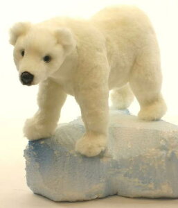 nTyHANSAzAʂ݃VN} 34cm zbLNO}