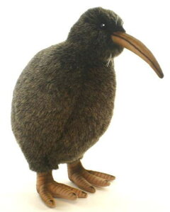 nTyHANSAzAʂ݃L[EB30cm