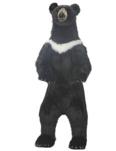 nTyHANSAzAʂݍN} 158cm cLmO} ̗ւ