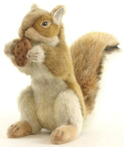 nTyHANSAzAʂݖ؂̎tAJX 25cm