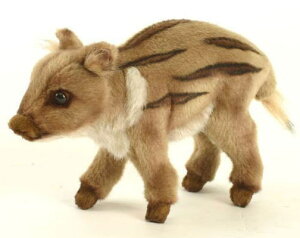 nTyHANSAzAʂݐԂCmVV 13cm