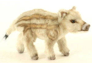 nTyHANSAzAʂݐԂCmVV 28cm