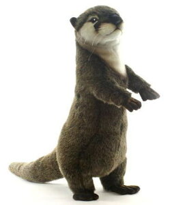 nTyHANSAzAʂ݃JE\ 60cmۂ тĂ ||RȂ