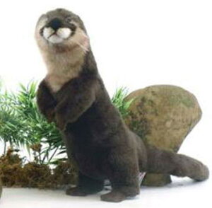 nTyHANSAzAʂ݃JE\ 37cm