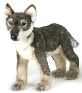 nTyHANSAzAʂݎeIIJ~ 52cm