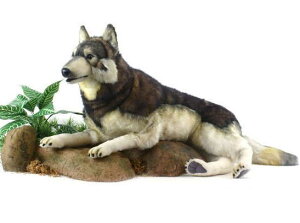 nTyHANSAzAʂݐXуIIJ~ 100cm