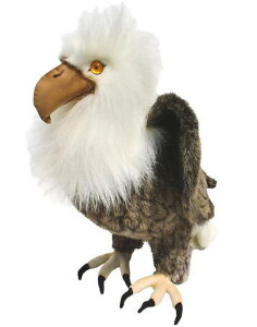 nTyHANSAzAʂ nNgEV45cm h