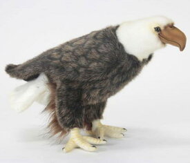 ハンサ【HANSA】リアルぬいぐるみハクトウワシ29cm