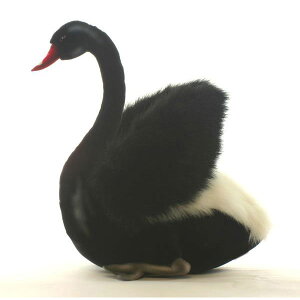 nTyHANSAzAʂ݃RN`E 31cm