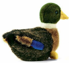 ハンサ【HANSA】リアルぬいぐるみ仔マガモ18cm