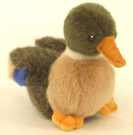 ハンサ【HANSA】リアルぬいぐるみ仔マガモ 12cm
