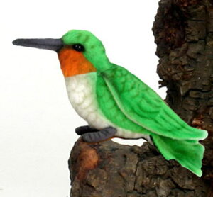 nTyHANSAzAʂ݃n`h 13cm