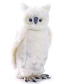 楽天市場 ふくろう ぬいぐるみの通販
