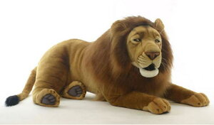 nTyHANSAzAʂ݃IXCI120cm