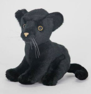 nTyHANSAzAʂݐԂqE 19cm