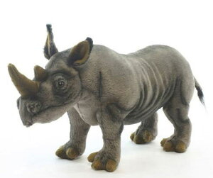 nTyHANSAzAʂ݃NTC 43cm