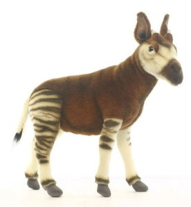 nTyHANSAzAʂ݃IJs 41cm