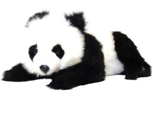 nTyHANSAzAʂݎeWCAgp_ 65cm