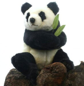 nTyHANSAzAʂݎeWCAgp_ 33cm