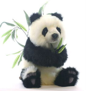 nTyHANSAzAʂݎeWCAgp_ 44cm