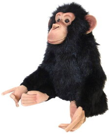 楽天市場 チンパンジー ぬいぐるみ おもちゃ の通販