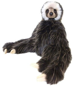 nTyHANSAzAʂ݃i}Pm45cm