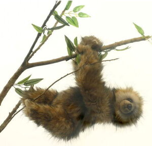 nTyHANSAzAʂ݃~cri}Pm36cm