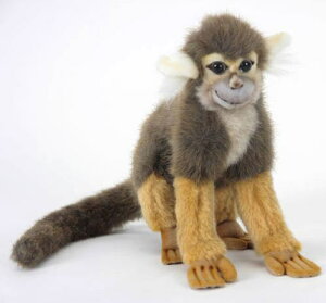 nTyHANSAzAʂ݃XU 34cm