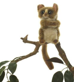 ハンサ【HANSA】リアルアニマル ぬいぐるみ メガネザル 16cm
