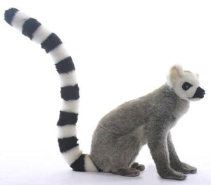 nTyHANSAzAʂ݃ILclU40