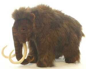 nTyHANSAzAʂ݃}X 41cm