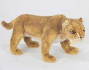 nTyHANSAzAʂ݃T[xgD[X 32cm