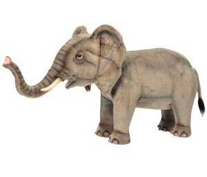 nTyHANSAzAʂ݃Xc[Gt@g 100cm