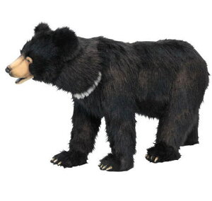 nTyHANSAzAʂ݃Xc[NN} 107cm cLmO} ̗ւ