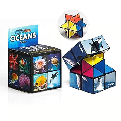 楽天市場】Infinity Cube Toys マジックスターキューブ ２in 1立体