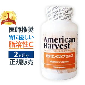 yK̔Xz_OX{g[Y r^~C JvZY 120i60jbnr^~Czbr^~C TvgbAJn[xXg