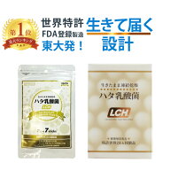 乳酸菌 サプリ 粉末 ハタ乳酸菌 LCH シリーズ 善玉菌 菌活 サポート 2g×30包 お試し 7包入り 無添加 国…