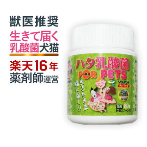 n^_ for PETS (60g)@ybgpi60g 2 vʃXv[tj Y ̌NEƉuPA  L Pʋہ@TvgyFDAFz
