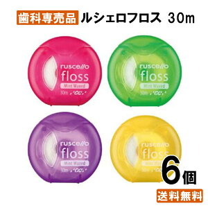 yyVňl풆zyzVF tX30m 6 a  }bT[W f^tX q f^ s sPA nOL Ȑꔄi Ȑp