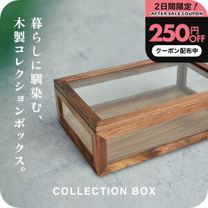 _250~OFFN[|^ RNVP[X ؐ RNV{bNX  WG[{bNX ANZT[P[X v Kl VR EH[ibg fBXvCP[X