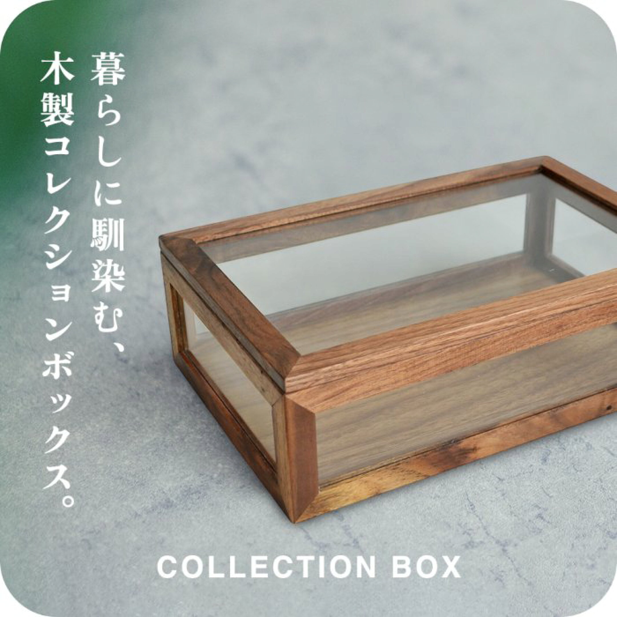 木製コレクションボックス